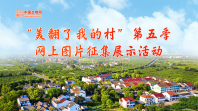935ba3606c2b45cba259d533dd106cee.jpg